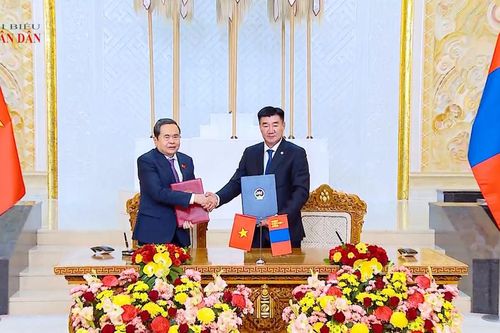 Thúc đẩy quan hệ Đối tác toàn diện Việt Nam - Mông Cổ phát triển thực chất