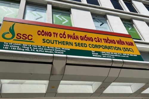 Giống cây trồng miền Nam mất gần 20% lợi nhuận sau soát xét, cổ phiếu lao dốc