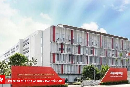 Điện Quang (DQC) bị xử phạt vì công bố lợi nhuận sai lệch năm 2025