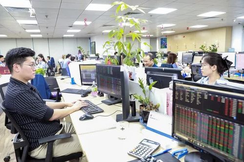 Gần 14 triệu tài khoản giao dịch chứng khoán, vượt xa mục tiêu