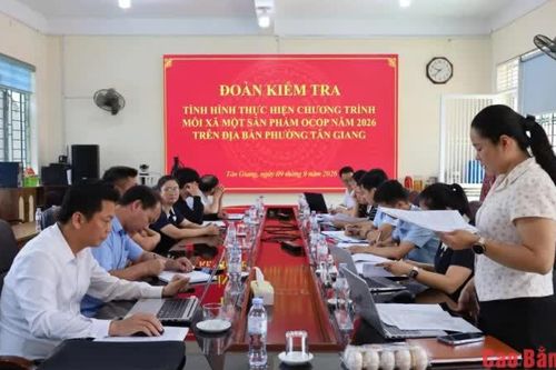Kiểm tra việc triển khai Chương trình OCOP tại phường Tân Giang