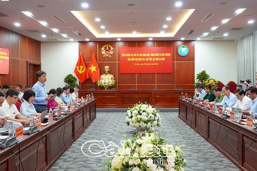 Cà Mau đề xuất hoàn thiện hành lang pháp lý phát triển kinh tế biển, năng lượng tái tạo