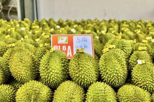 Lâm Đồng đẩy mạnh quản lý mã số vùng trồng phục vụ xuất khẩu