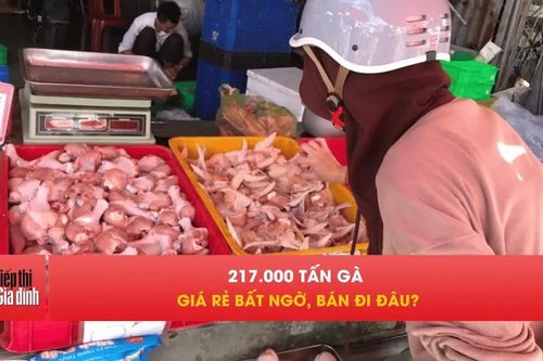 217.000 tấn gà giá rẻ nhập khẩu, người Việt đang ăn gì?