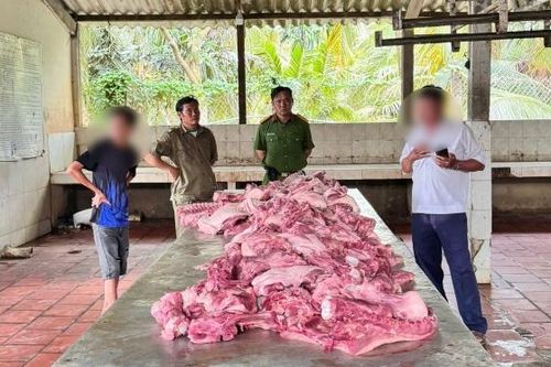 Vĩnh Long: Phát hiện điểm giết mổ heo chưa được cấp phép