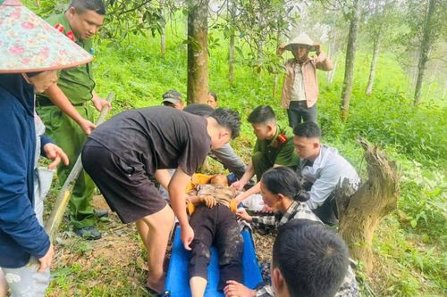 Công an Lạng Sơn vượt đồi, cáng người phụ nữ ngã cây đi cấp cứu