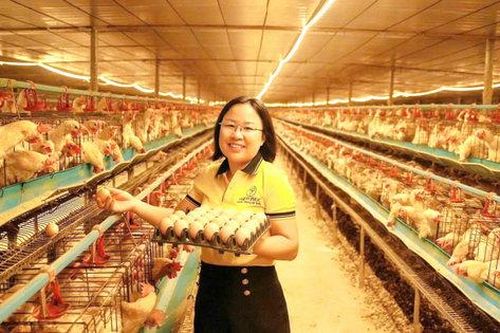 Nữ nông dân xuất sắc Nguyễn Thị Hồng: Hành trình đến với chuỗi giá trị nông nghiệp xanh