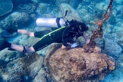 Lặn xuống biển sâu quanh đảo núi lửa cổ tìm gỡ 'lưới ma'