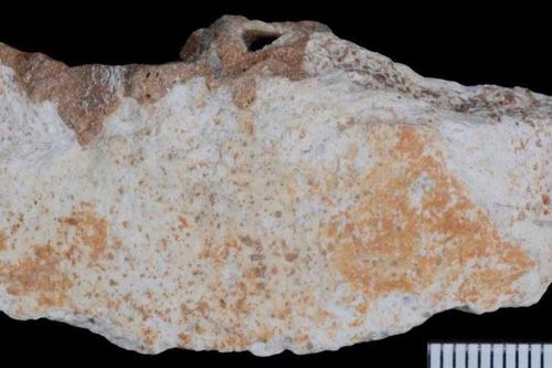 Hóa thạch Denisovan hé lộ cuộc sống bí ẩn của họ hàng loài người
