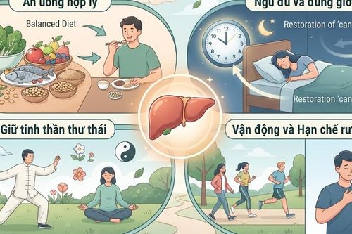 Dưỡng gan theo Y học cổ truyền