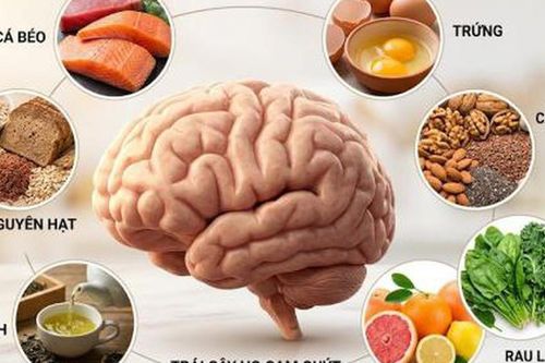 Dinh dưỡng đúng cách bảo vệ não bộ và cải thiện trí nhớ