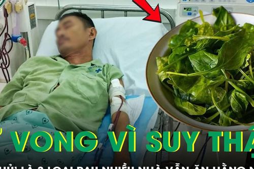 Người đàn ông tử vong vì suy thận cấp, 'sát thủ' là 3 loại rau này