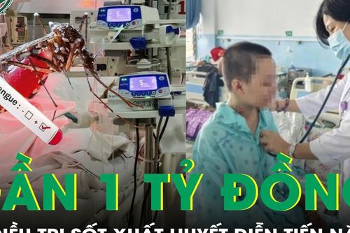 Suýt mất mạng vì sốt xuất huyết, chi phí chữa trị gần 1 tỷ đồng