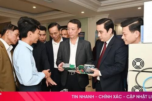 Nhiều 'hạt giống' khởi nghiệp bén rễ trên thị trường