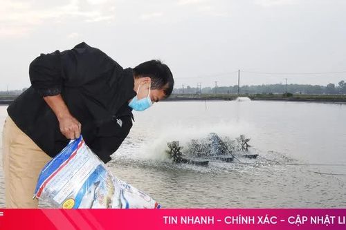 Mưa lớn dự báo cận kề, người nuôi trồng thủy sản tất bật ứng phó