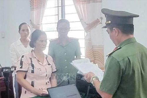 Bắt tạm giam Nguyễn Thị Tuyền về hành vi xâm phạm lợi ích của Nhà nước, cá nhân