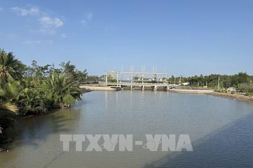 Đồng Tháp không chờ mặn đến mới lo giữ ngọt
