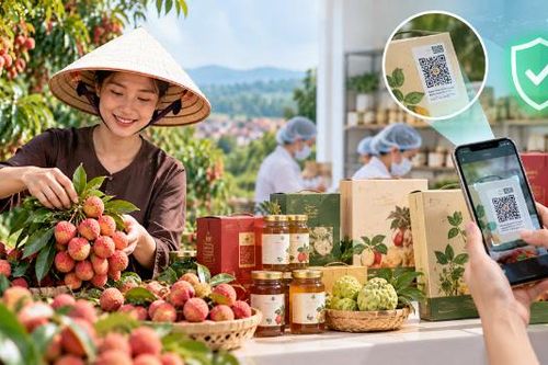 Bảo vệ thương hiệu OCOP