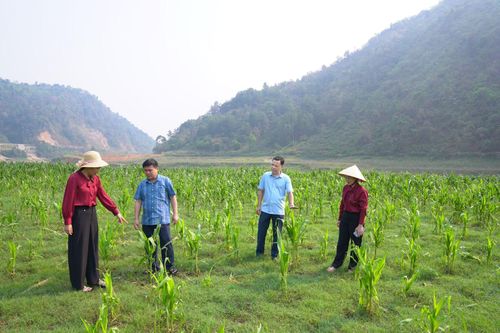 Đưa nghị quyết của Đảng vào cuộc sống