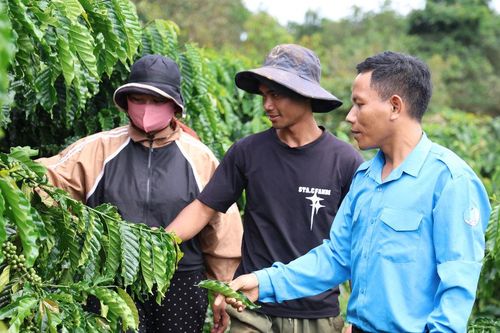 Tiếp vốn, tiếp sức thanh niên Lâm Đồng lập nghiệp