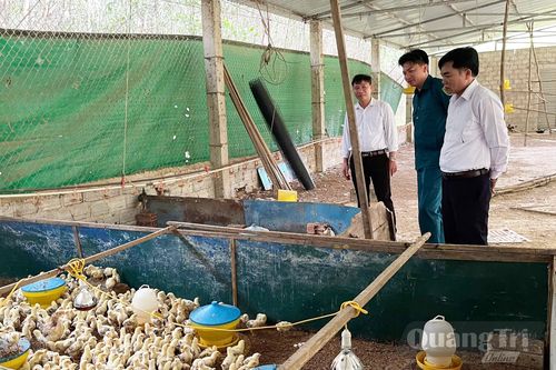Khát vọng làm giàu trên quê hương