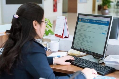 Hải quan hỏa tốc hướng dẫn kiểm tra an toàn thực phẩm động vật nhập khẩu