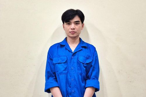 Công an Thành phố Hồ Chí Minh nhanh chóng bắt giữ đối tượng dùng súng đột nhập nhà dân cướp tài sản