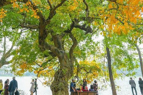 Bắc Bộ dịu mát và có mưa rào rải rác