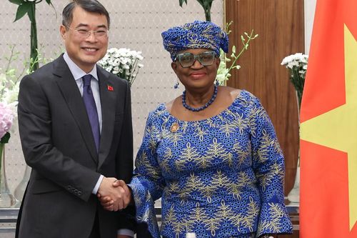 Tổng Giám đốc WTO: Các chỉ số phản ánh năng lực quản trị kinh tế vĩ mô rất tốt của Chính phủ Việt Nam