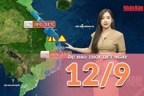 [Video] Dự báo thời tiết ngày 12/9/2026: Mưa lớn tiếp tục bao trùm Trung Bộ và Nam Bộ