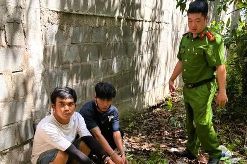 Khởi tố 2 đối tượng cắt trộm dây điện đường cao tốc Biên Hòa-Vũng Tàu