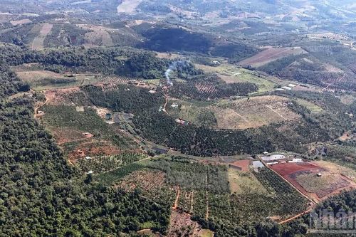 Lâm Đồng: Hơn 817.000 thửa đất chưa được cấp giấy chứng nhận