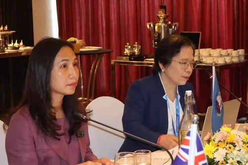 Đại sứ Việt Nam chủ trì Phiên họp Hội đồng Kế hoạch Colombo lần thứ 312
