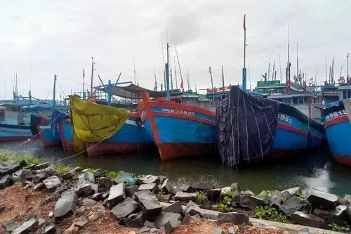 Hướng dẫn hơn 53.000 tàu tránh áp thấp nhiệt đới, gửi cảnh báo tới 22 triệu thuê bao