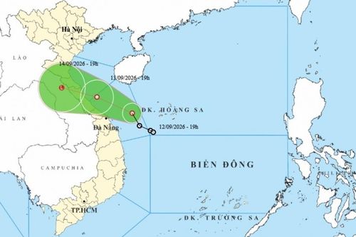 Dự báo tác động của áp thấp nhiệt đới: Vùng ven biển Hà Tĩnh đến Quảng Trị từ chiều tối 13/9, gió mạnh dần lên cấp 6, giật cấp 8