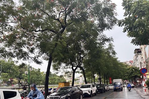Thời tiết ngày 12/9: Trung Bộ mưa lớn
