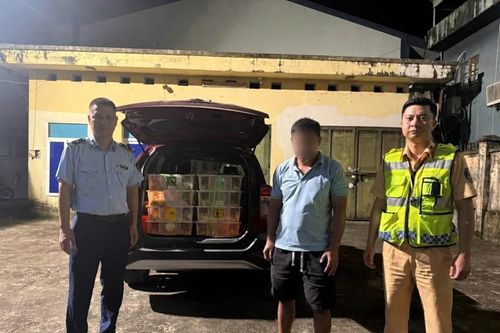 Phát hiện ô tô con chở 1.500 con vịt giống không rõ nguồn gốc