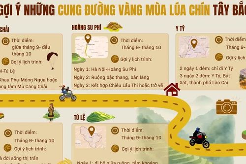 Gợi ý những cung đường vàng mùa lúa chín Tây Bắc