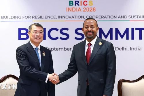 Thủ tướng Lê Minh Hưng gặp Thủ tướng Ethiopia Abiy Ahmed