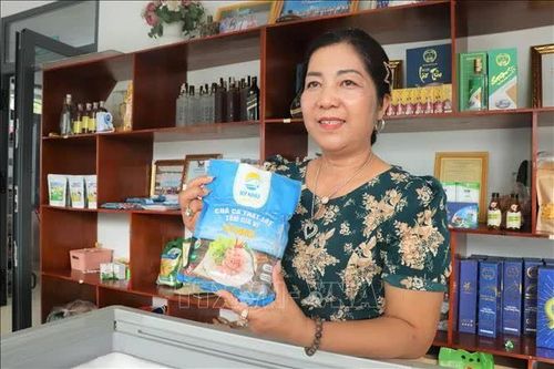 Nữ nông dân kiên trì gây dựng cơ nghiệp với định hướng chuyển đổi xanh