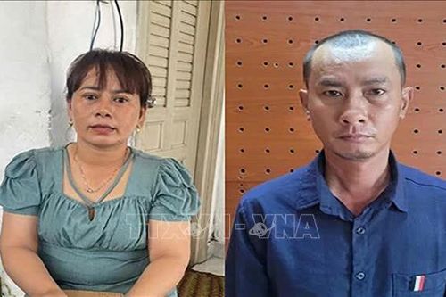 Khởi tố thêm 2 đối tượng trong vụ cướp giật ở khu tham quan Liên Hoa Bảo Tháp