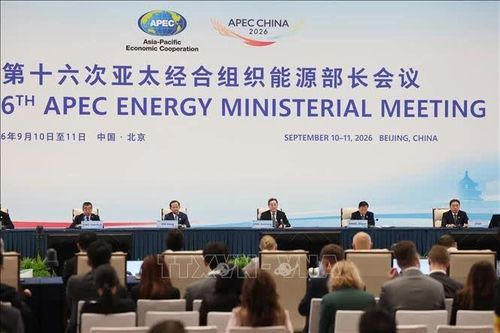 APEC lần thứ 16 đạt đồng thuận về hợp tác năng lượng