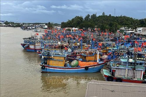 Các địa phương chủ động ứng phó với thiên tai, áp thấp nhiệt đới