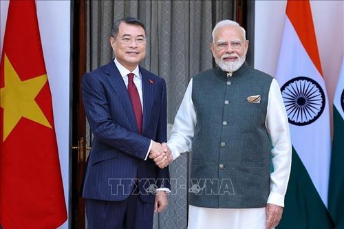 Thủ tướng Lê Minh Hưng hội đàm với Thủ tướng Ấn Độ Narendra Modi