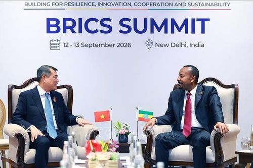 Thủ tướng Lê Minh Hưng gặp Thủ tướng Ethiopia
