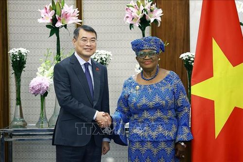 WTO tiếp tục đồng hành, hỗ trợ Việt Nam trong tiến trình hội nhập kinh tế quốc tế