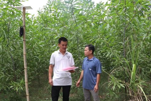 Gỡ vướng thủ tục đất đai, đồng bào Hre yên tâm sản xuất