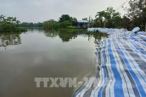 Triều cường vượt báo động III, Đồng Tháp chủ động ứng phó