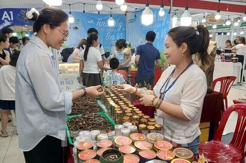 Đưa hàng Việt ra thế giới từ những cú click chuột