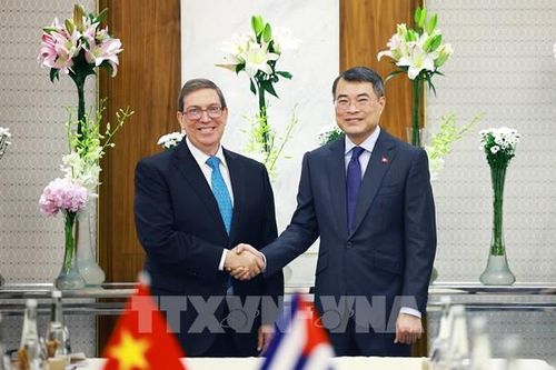 Thủ tướng Chính phủ Lê Minh Hưng tiếp Bộ trưởng Ngoại giao Cuba Bruno Rodriguez Parrilla
